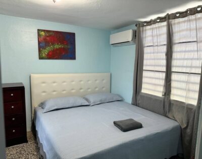 Large & clean Unit with King Bed